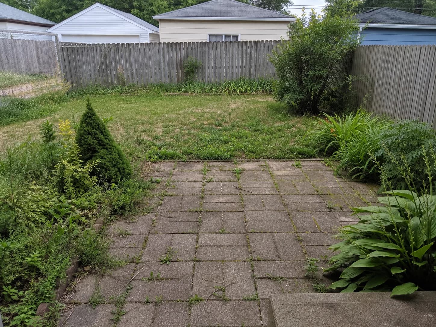 An unused backyard becomes an everyday outdoor room before